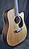 Takamine G Series EG330SC NS
