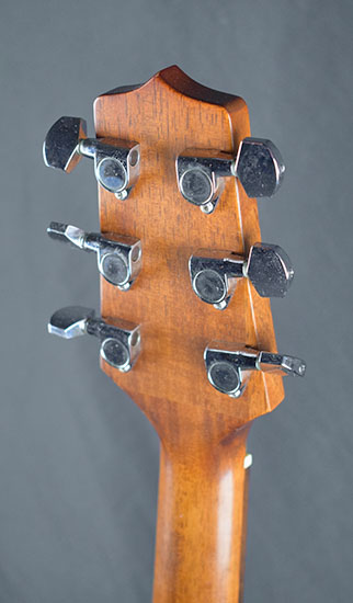 Takamine G Series EG330SC NS