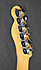 Fender Telecaster Thinline Deluxe