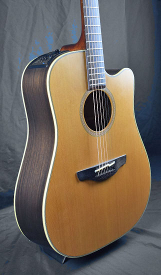 Takamine NP15C