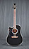 Takamine EF341SC LH