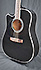 Takamine EF341SC LH