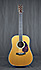 Martin D41 Special de 2004 Micro Levila API et alim