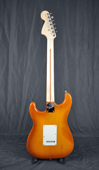 Fender Stratocaster American Performer