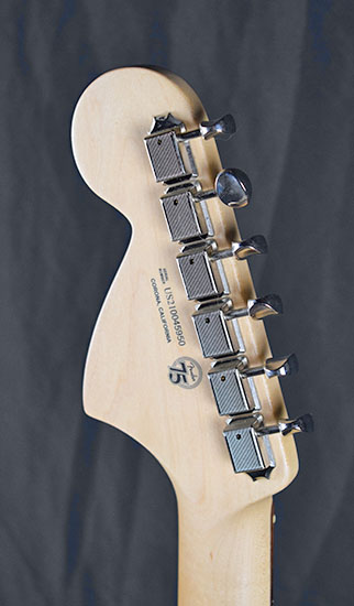 Fender Stratocaster American Performer