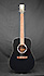 Art & Lutherie Cedar Black
