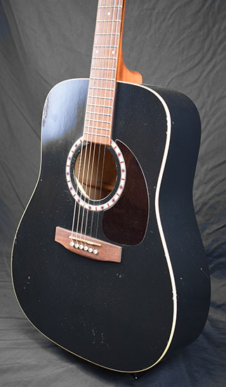 Art & Lutherie Cedar Black
