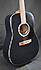Art & Lutherie Cedar Black