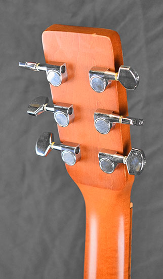 Art & Lutherie Cedar Black