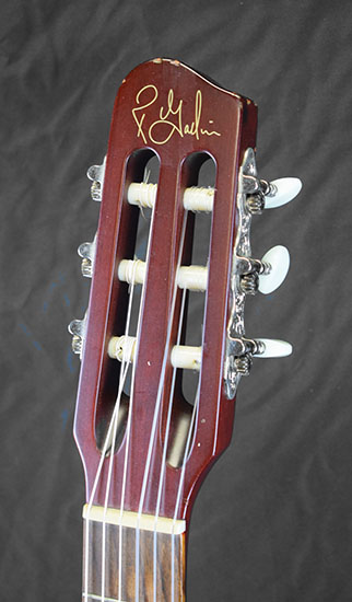 Godin Multiac Encore