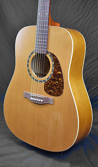 Norman Protege B18 Cedar