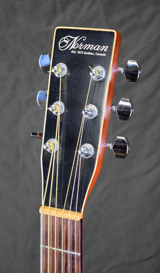 Norman Protege B18 Cedar