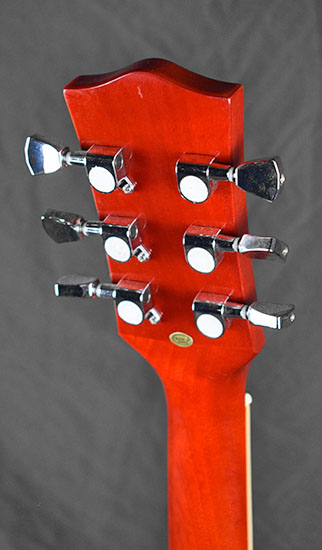 Bacchus Les Paul Micros Tornade MS Jimmy Page