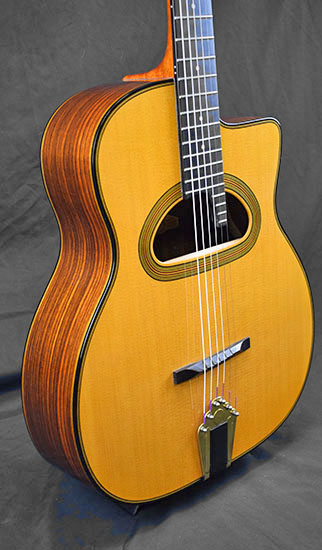 Gitane D500
