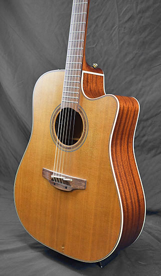 Takamine TAN10CR