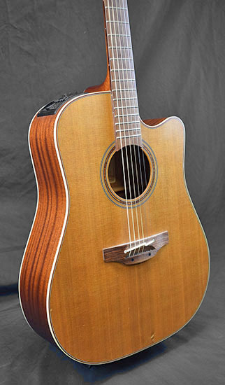 Takamine TAN10CR