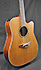 Takamine TAN10CR