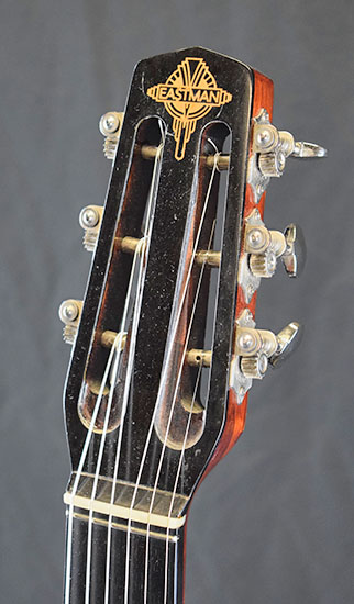 Eastman DM2 V