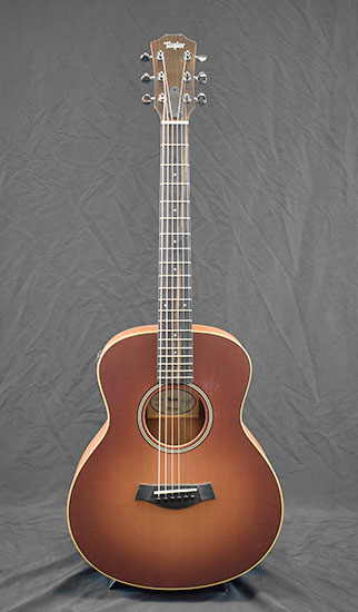 Taylor GS Mini E