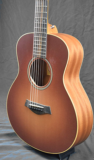 Taylor GS Mini E