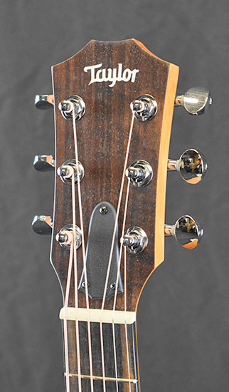 Taylor GS Mini E