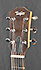 Taylor GS Mini E