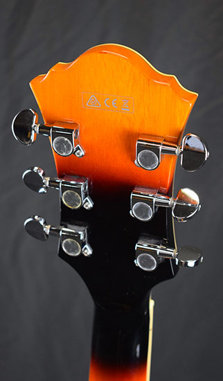 Ibanez AF75 BS