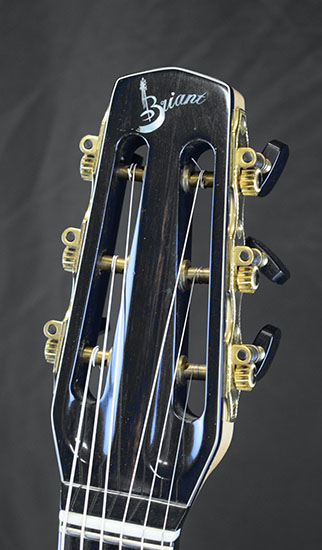 Morgan Briant Type Selmer Modele Signature Speciale (Rio massif)