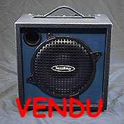 Henriksen Jazz Amp 10R avec housse