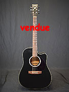 ART & LUTHERIE CW CEDAR BLACK QI