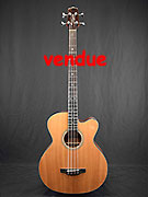 TAKAMINE GB30CE NAT