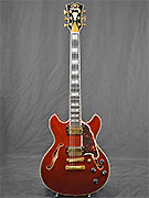 D ANGELICO EXEL MINI DC