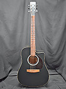 ART ET LUTHERIE CW CEDAR BLACK