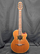 TAKAMINE EN-60C